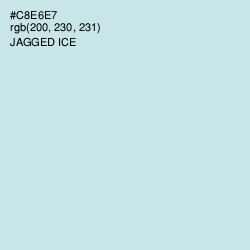 #C8E6E7 - Jagged Ice Color Image